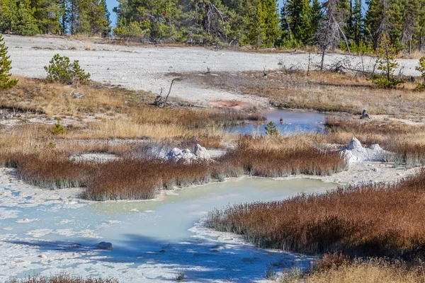 Parc national Yellowstone — Photo