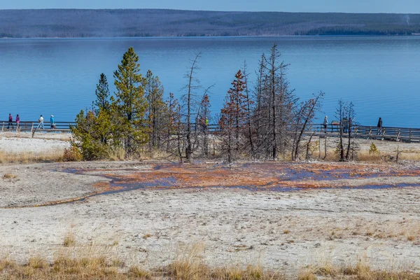 Yellowstone Milli Parkı
