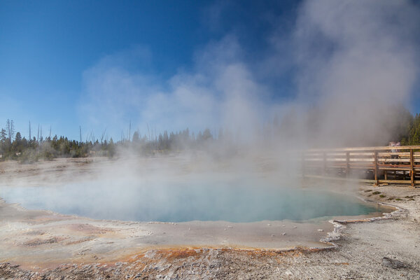 Yellowstone national park