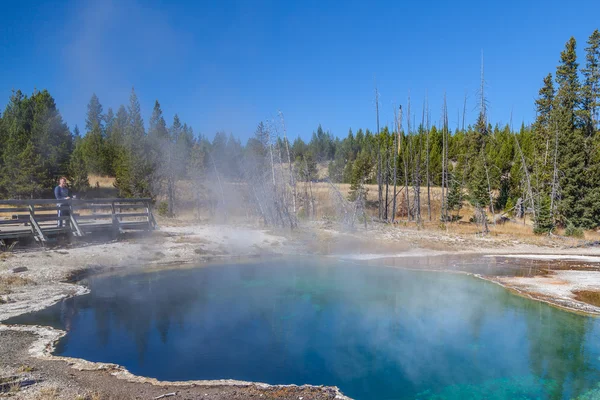 Yellowstone Nemzeti park — Stock Fotó