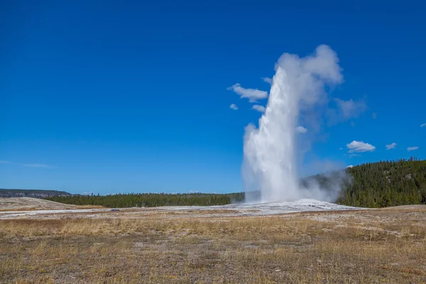 Yellowstone Nemzeti park — Stock Fotó