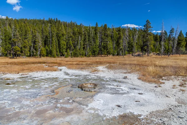 Yellowstone Milli Parkı