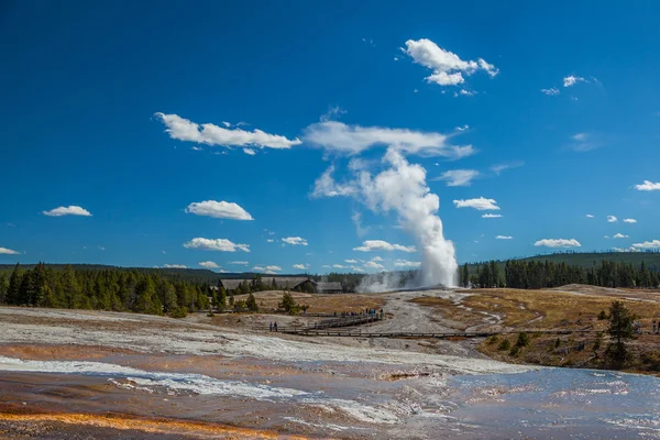 Yellowstone Nemzeti park — Stock Fotó