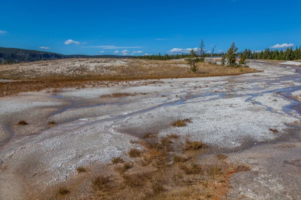 Parc national Yellowstone — Photo