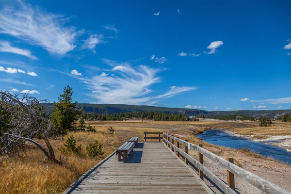 Parc national Yellowstone — Photo