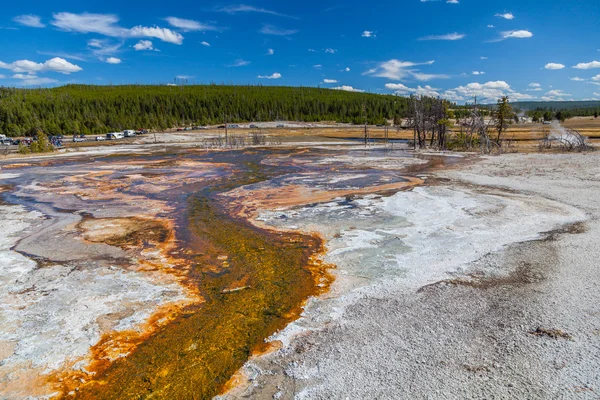 Yellowstone Milli Parkı