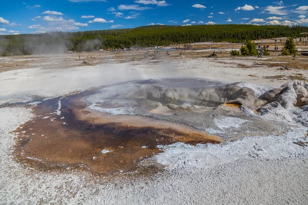 Het Nationaalpark Yellowstone — Stockfoto