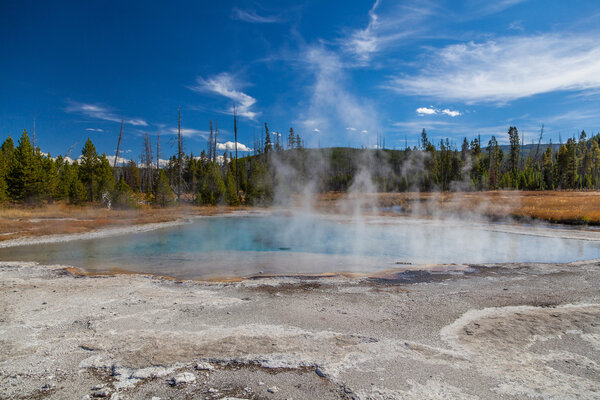 Yellowstone national park