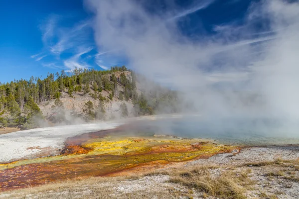 Yellowstone Nemzeti park — Stock Fotó