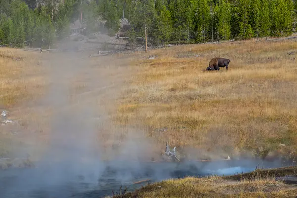 Yellowstone Milli Parkı