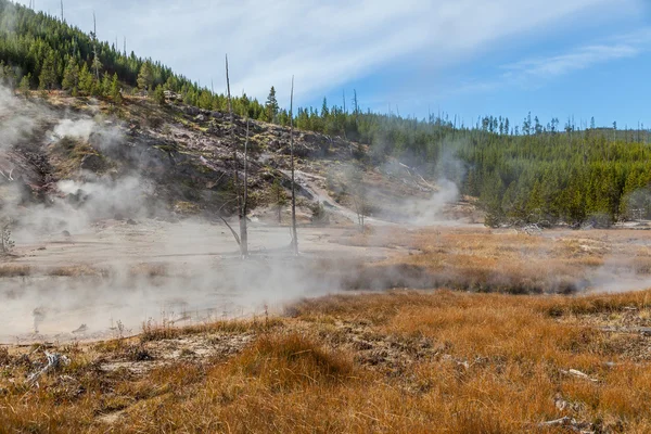 Parque Nacional de Yellowstone — Foto de Stock