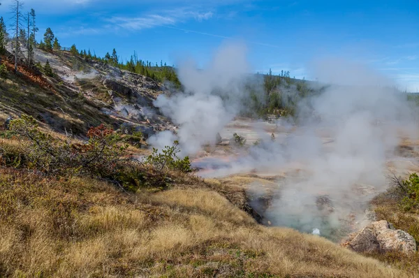 Het Nationaalpark Yellowstone — Stockfoto