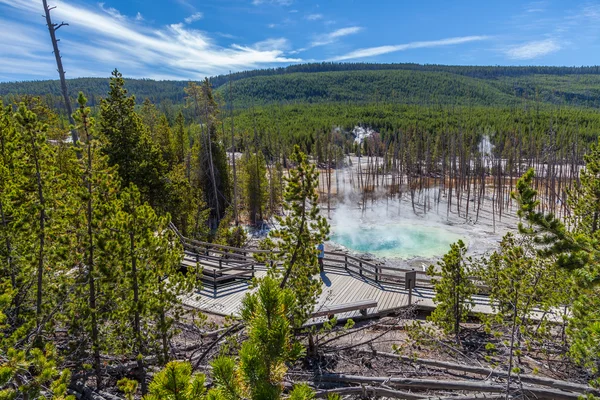 Parc national Yellowstone — Photo