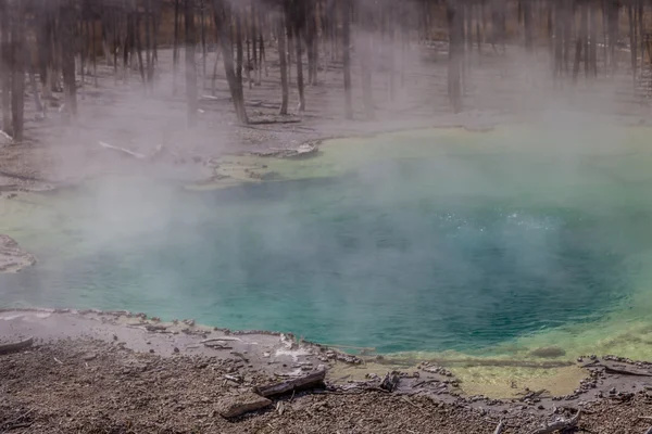 Park Narodowy Yellowstone — Zdjęcie stockowe