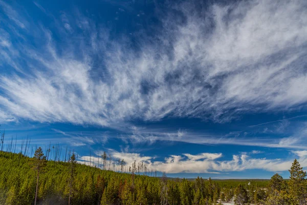 Parque Nacional de Yellowstone — Fotografia de Stock