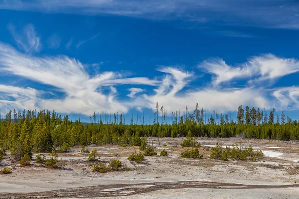Yellowstone Milli Parkı