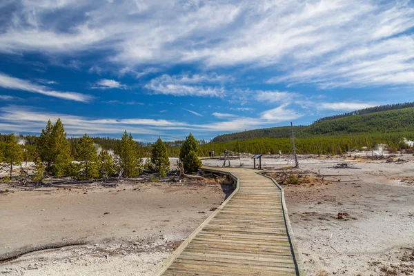 Parc national Yellowstone — Photo