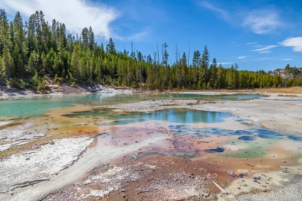 Parc national Yellowstone — Photo