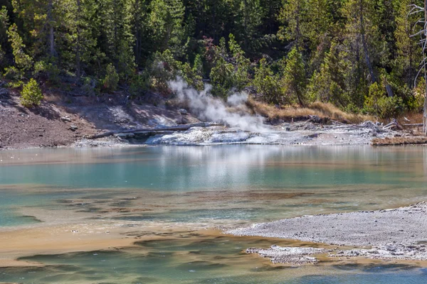 Parc national Yellowstone — Photo