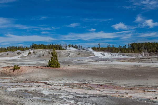 Parque Nacional de Yellowstone — Foto de Stock