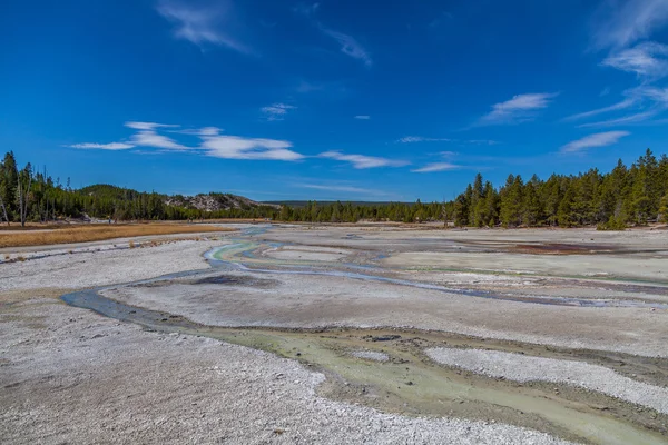 Parc national Yellowstone — Photo