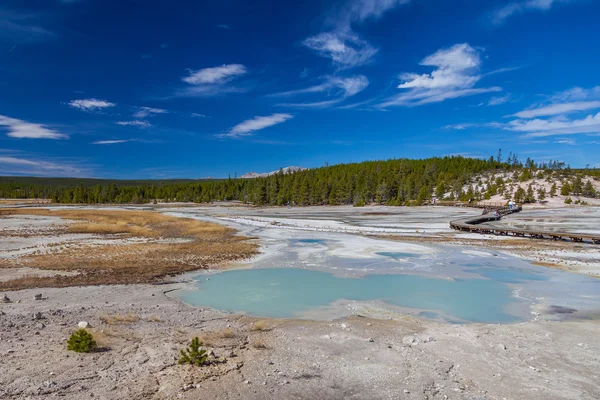 Parque Nacional de Yellowstone — Foto de Stock