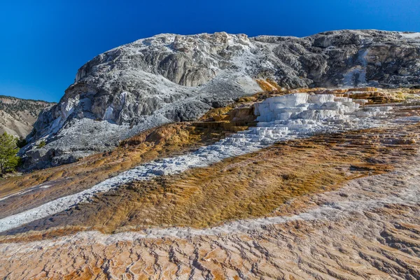 Parque nacional de Yellowstone en otoño — Foto de Stock