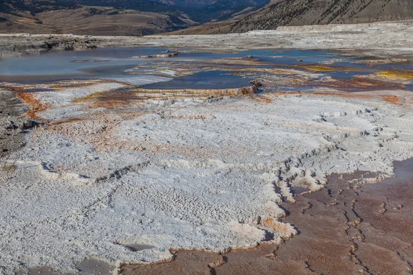 Yellowstone Millî Parkı Güz