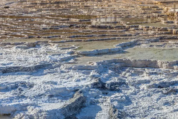 Yellowstone Millî Parkı Güz