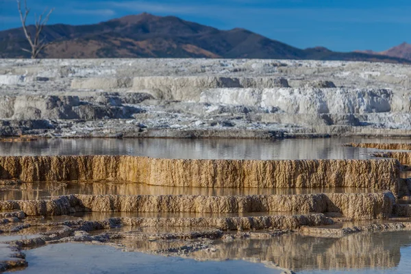 Yellowstone-Nationalpark im Herbst — Stockfoto