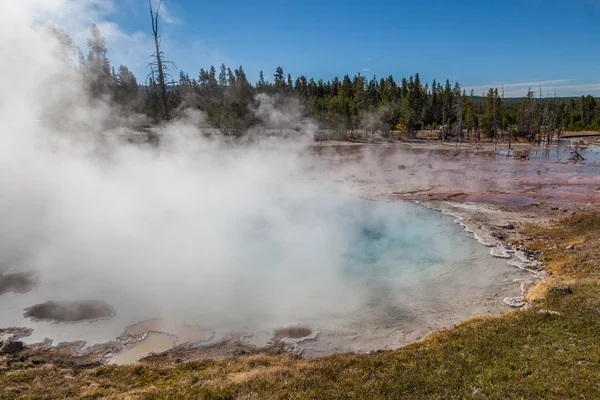 Parque Nacional de Yellowstone — Foto de Stock