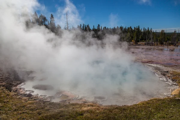 Yellowstone Milli Parkı
