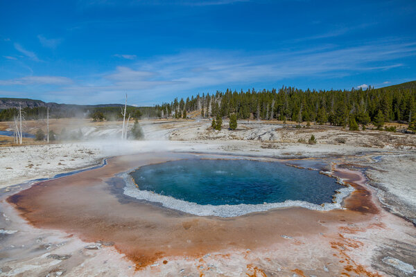 Yellowstone national park