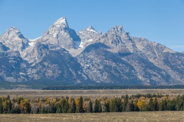 Grand Teton Ulusal Parkı