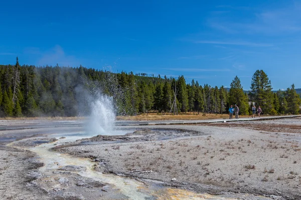 Parque Nacional de Yellowstone — Foto de Stock