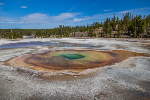 Parque Nacional de Yellowstone — Fotografia de Stock