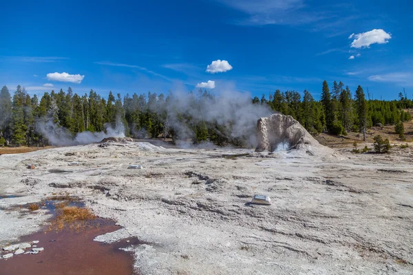 Parque Nacional de Yellowstone — Fotografia de Stock