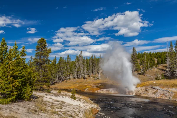 Het Nationaalpark Yellowstone — Stockfoto