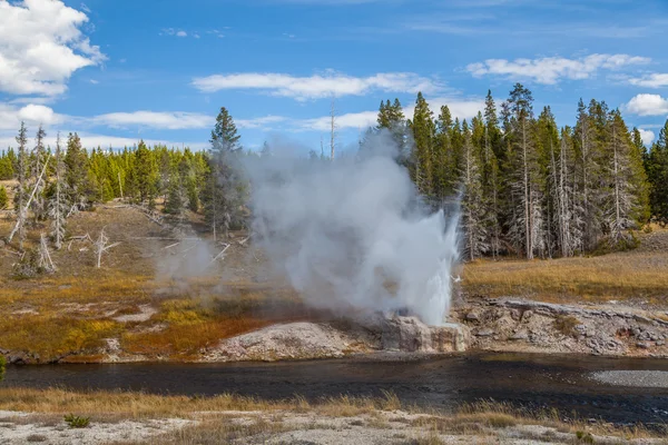 Εθνικό πάρκο Yellowstone — Φωτογραφία Αρχείου