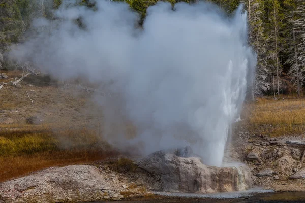 Yellowstonský národní park — Stock fotografie