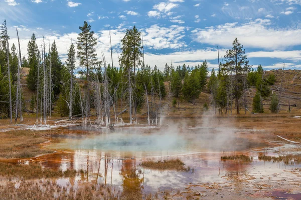 Yellowstone nationalpark — Stockfoto