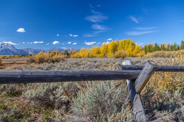 Grand Teton Ulusal Parkı
