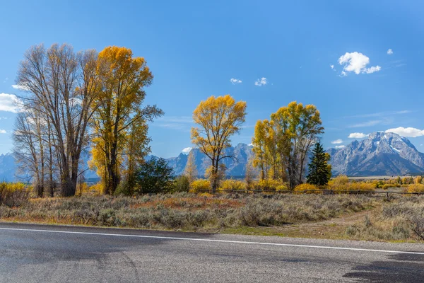 Grand Teton Ulusal Parkı