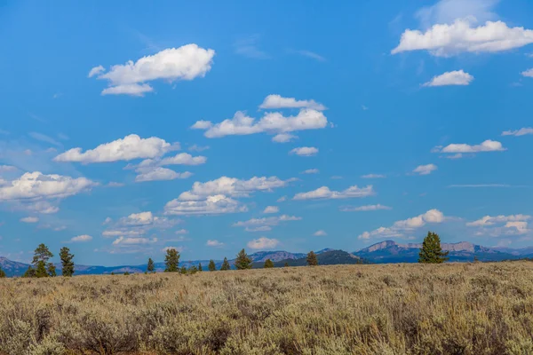 Nationaal park Grand Teton — Stockfoto