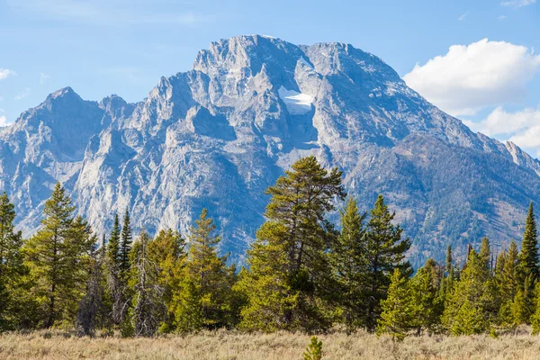 Εθνικό Πάρκο Grand Teton — Φωτογραφία Αρχείου