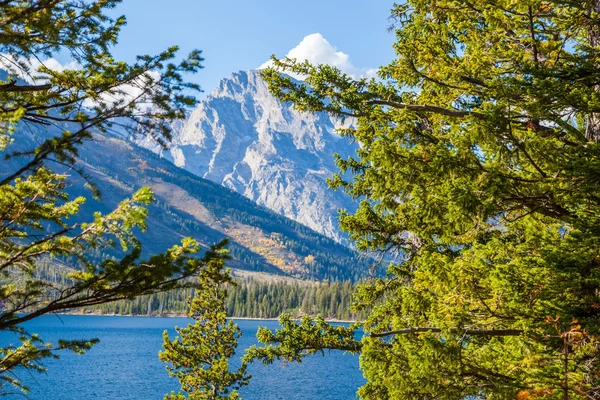 Grand Teton Ulusal Parkı