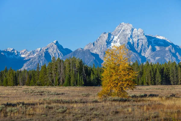 Grand Teton nationalpark — Stockfoto