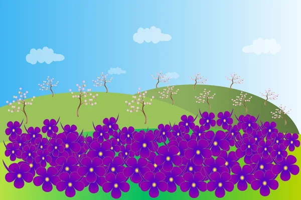 The spring landscape. Green hills, purple violets with a yellow center, blooming garden, trees with brown trunks and pink flowers, blue sky, white clouds