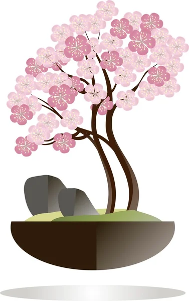 Bonsái. Árbol Sakura floreciente en una olla negra sobre un fondo blanco. Flores rosas, ramas marrones, piedras grises, hierba verde, diseño plano — Archivo Imágenes Vectoriales