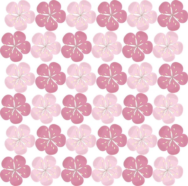 Textura floral sin costuras. Flores de sakura rosa sobre fondo blanco. Vector — Archivo Imágenes Vectoriales